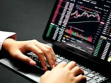 Investment process