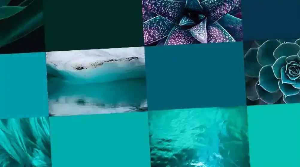 Teal Color