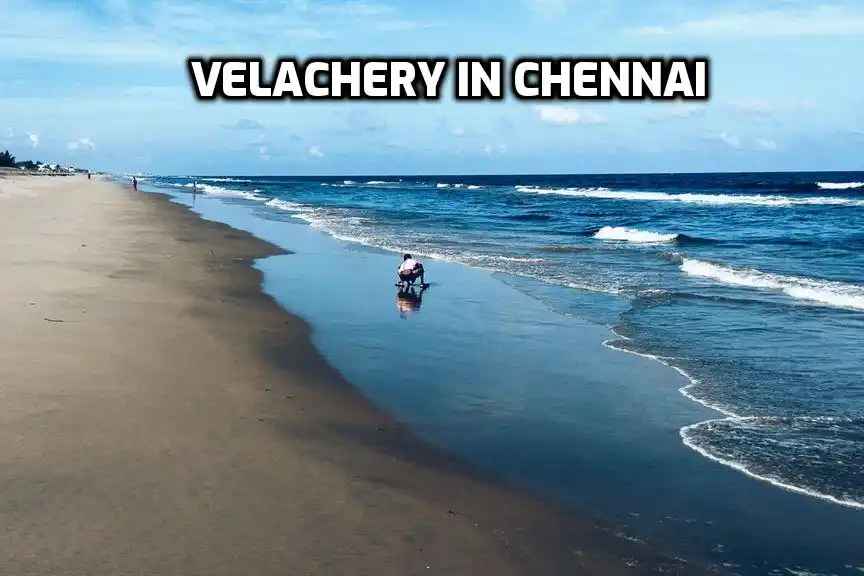 Velachery, Chennai: A Prime Residential & Commercial Hub