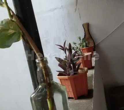 Photos Others
