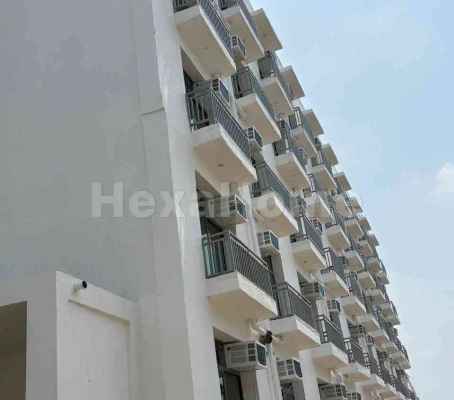 shree PJ PG shree PJ PG