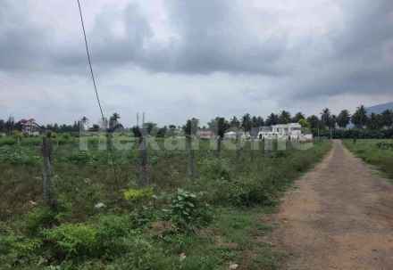 Commercial carousel-/media/plot-commercial/20-dec-2024/plot-photo-824g0lny.webp?label=others&cover=true