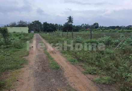 Commercial carousel-/media/plot-commercial/20-dec-2024/plot-photo-9c9wvq5i.webp?label=others&cover=false