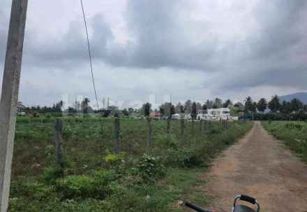 Commercial carousel-/media/plot-commercial/20-dec-2024/plot-photo-toi1ds6c.webp?label=others&cover=false