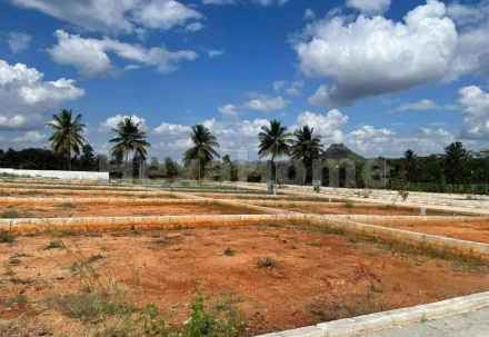 Residential carousel-/media/plot-residential/10-dec-2025/plot-photo-knotqw49.webp?label=others&cover=false