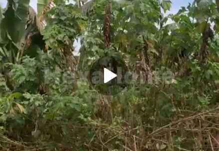 Residential carousel-/media/plot-residential/11-jan-2026/plot-photo-qld9oc23.webp?label=others&cover=false