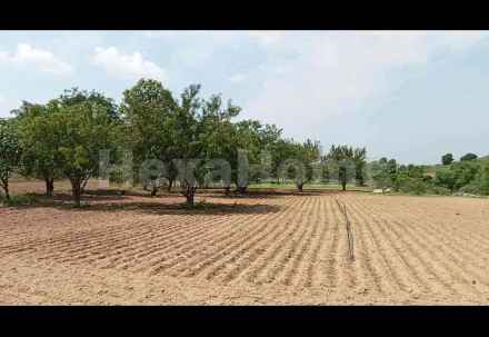 Residential carousel-/media/plot-residential/12-oct-2024/plot-photo-ew8bifwo.webp?label=others&cover=false