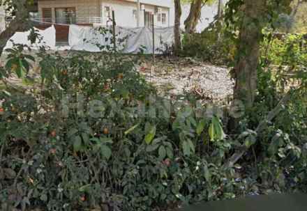 Residential carousel-/media/plot-residential/14-jul-2026/plot-photo-w42z3bhx.webp?label=others&cover=false