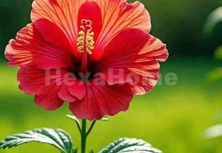 Residential carousel-/media/plot-residential/15-nov-2025/plot-photo-r5r3blww.webp?label=others