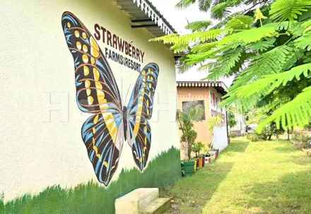 Residential carousel-/media/plot-residential/16-may-2025/plot-photo-xuswbzav.webp?label=others&cover=false