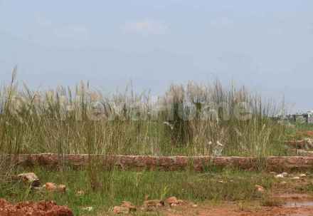 Residential carousel-/media/plot-residential/24-oct-2025/plot-photo-ydzqegsf.webp?label=others