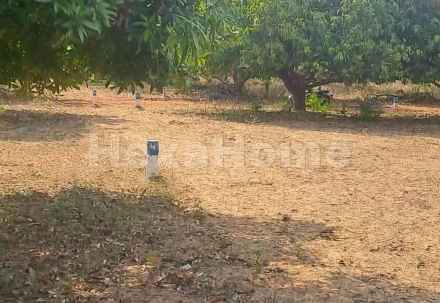 Residential carousel-/media/plot-residential/25-oct-2024/plot-photo-nqsg0ocw.webp?label=others&cover=false