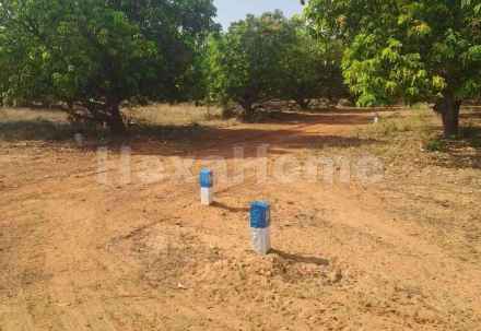 Residential carousel-/media/plot-residential/25-oct-2024/plot-photo-za12ns8j.webp?label=others&cover=false