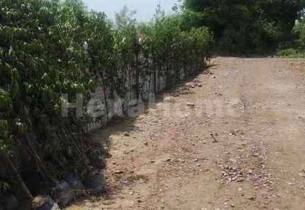 Residential carousel-/media/plot-residential/5-aug-2024/plot-photo-1a90igk0.webp?label=others&cover=false