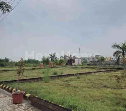 Photos Others