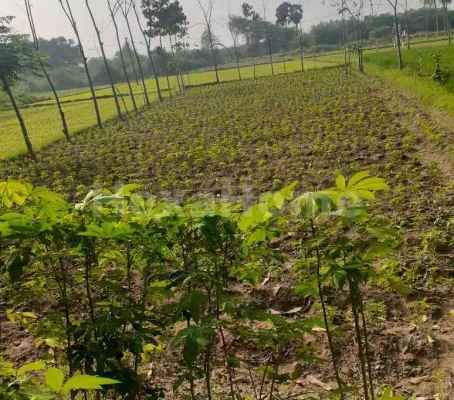 Commercial Plot for sale Commercial Plot for sale