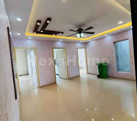 3BHK Builder Floor for rent 3BHK Builder Floor for rent