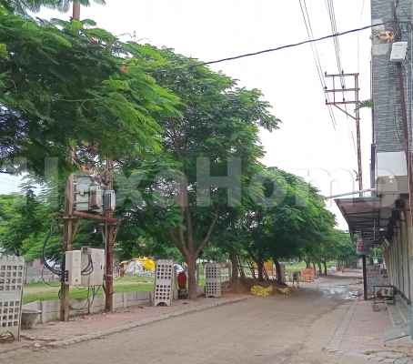 3BHK Independent House for sale 3BHK Independent House for sale