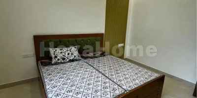 Neha is sharing a room in 1BHK Flat Neha is sharing a room in 1BHK Flat