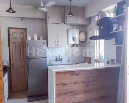 Ankit is sharing a room in 1BHK Flat carousel